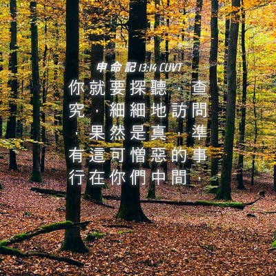 Picture 04 - 申 命 記 13:14 CUVT - 你 就 要 探 聽 ， 查 究 ， 細 細 地 - Bible Verse Picture