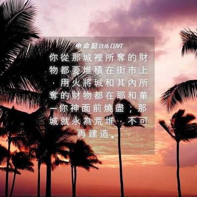 Picture 04 - 申 命 記 13:16 CUVT - 你 從 那 城 裡 所 奪 的 財 物 都 要 - Bible Verse Picture