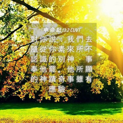 Picture 04 - 申 命 記 13:2 CUVT - 對 你 說 ： 我 們 去 隨 從 你 素 來 - Bible Verse Picture