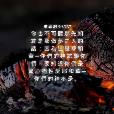 Picture 04 - 申 命 記 13:3 CUVT - 你 也 不 可 聽 那 先 知 或 是 那 做 - Bible Verse Picture