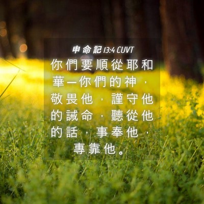 Picture 04 - 申 命 記 13:4 CUVT - 你 們 要 順 從 耶 和 華 ─ 你 們 的 - Bible Verse Picture