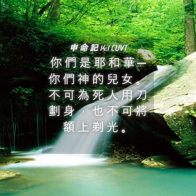 Picture 04 - 申 命 記 14:1 CUVT - 你 們 是 耶 和 華 ─ 你 們 神 的 兒 - Bible Verse Picture