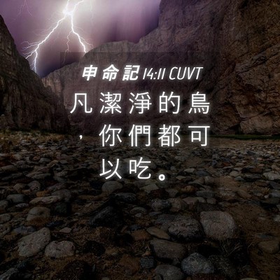 Picture 04 - 申 命 記 14:11 CUVT - 凡 潔 淨 的 鳥 ， 你 們 都 可 以 吃 - Bible Verse Picture