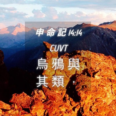 Picture 04 - 申 命 記 14:14 CUVT - 烏 鴉 與 其 類 - Bible Verse Picture