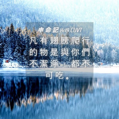 Picture 04 - 申 命 記 14:19 CUVT - 凡 有 翅 膀 爬 行 的 物 是 與 你 們 - Bible Verse Picture