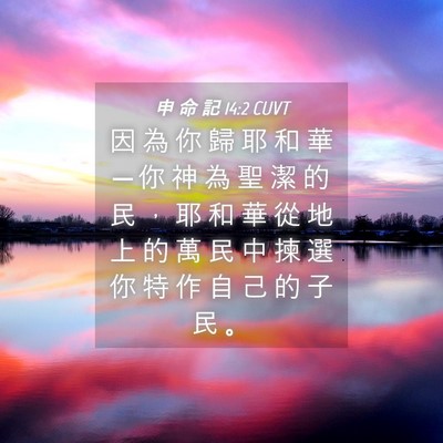 Picture 04 - 申 命 記 14:2 CUVT - 因 為 你 歸 耶 和 華 ─ 你 神 為 聖 - Bible Verse Picture
