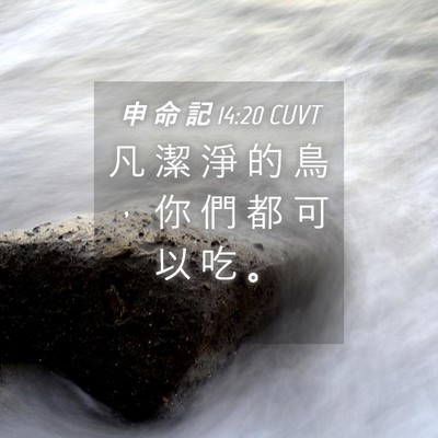 Picture 04 - 申 命 記 14:20 CUVT - 凡 潔 淨 的 鳥 ， 你 們 都 可 以 吃 - Bible Verse Picture