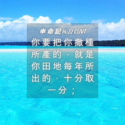 Picture 04 - 申 命 記 14:22 CUVT - 你 要 把 你 撒 種 所 產 的 ， 就 是 - Bible Verse Picture