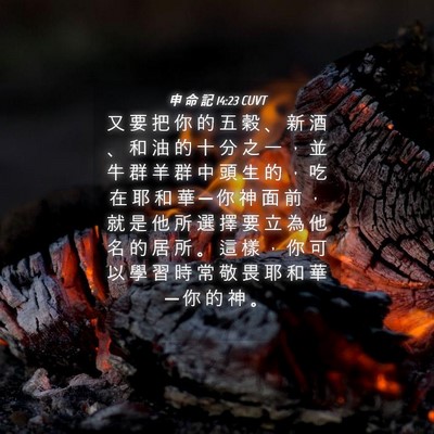 Picture 04 - 申 命 記 14:23 CUVT - 又 要 把 你 的 五 穀 、 新 酒 、 和 - Bible Verse Picture