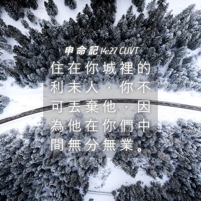 Picture 04 - 申 命 記 14:27 CUVT - 住 在 你 城 裡 的 利 未 人 ， 你 不 - Bible Verse Picture