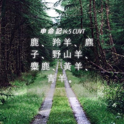 Picture 04 - 申 命 記 14:5 CUVT - 鹿 、 羚 羊 、 麃 子 、 野 山 羊 、 - Bible Verse Picture