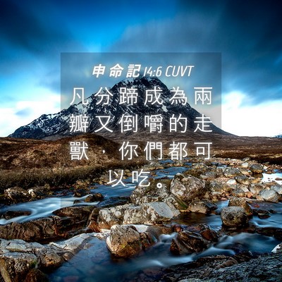 Picture 04 - 申 命 記 14:6 CUVT - 凡 分 蹄 成 為 兩 瓣 又 倒 嚼 的 走 - Bible Verse Picture