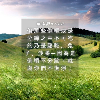 Picture 04 - 申 命 記 14:7 CUVT - 但 那 些 倒 嚼 或 是 分 蹄 之 中 不 - Bible Verse Picture