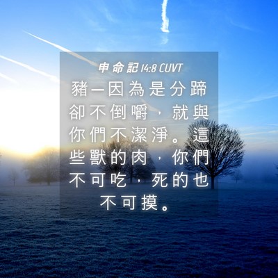 Picture 04 - 申 命 記 14:8 CUVT - 豬 ─ 因 為 是 分 蹄 卻 不 倒 嚼 ， - Bible Verse Picture