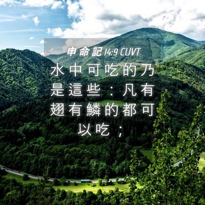 Picture 04 - 申 命 記 14:9 CUVT - 水 中 可 吃 的 乃 是 這 些 ： 凡 有 - Bible Verse Picture