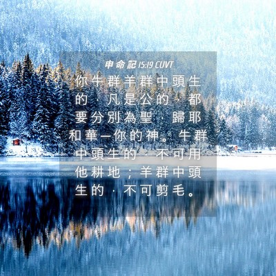 Picture 04 - 申 命 記 15:19 CUVT - 你 牛 群 羊 群 中 頭 生 的 ， 凡 是 - Bible Verse Picture