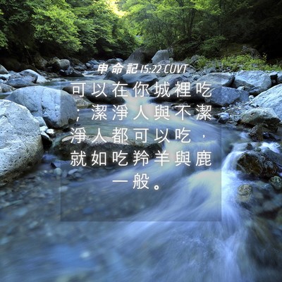 Picture 04 - 申 命 記 15:22 CUVT - 可 以 在 你 城 裡 吃 ； 潔 淨 人 與 - Bible Verse Picture