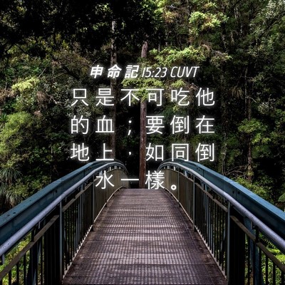 Picture 04 - 申 命 記 15:23 CUVT - 只 是 不 可 吃 他 的 血 ； 要 倒 在 - Bible Verse Picture