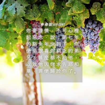 Picture 04 - 申 命 記 15:9 CUVT - 你 要 謹 慎 ， 不 可 心 裡 起 惡 念 - Bible Verse Picture