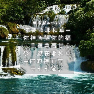 Picture 04 - 申 命 記 16:10 CUVT - 你 要 照 耶 和 華 ─ 你 神 所 賜 你 - Bible Verse Picture