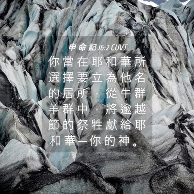 Picture 04 - 申 命 記 16:2 CUVT - 你 當 在 耶 和 華 所 選 擇 要 立 為 - Bible Verse Picture