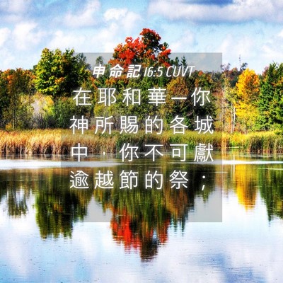 Picture 04 - 申 命 記 16:5 CUVT - 在 耶 和 華 ─ 你 神 所 賜 的 各 城 - Bible Verse Picture