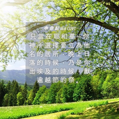 Picture 04 - 申 命 記 16:6 CUVT - 只 當 在 耶 和 華 ─ 你 神 所 選 擇 - Bible Verse Picture