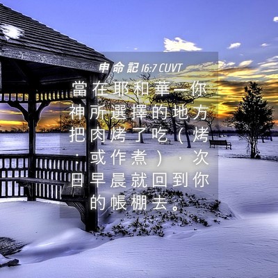 Picture 04 - 申 命 記 16:7 CUVT - 當 在 耶 和 華 ─ 你 神 所 選 擇 的 - Bible Verse Picture