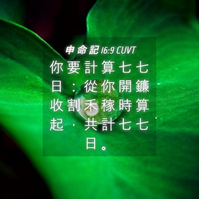 Picture 04 - 申 命 記 16:9 CUVT - 你 要 計 算 七 七 日 ： 從 你 開 鐮 - Bible Verse Picture