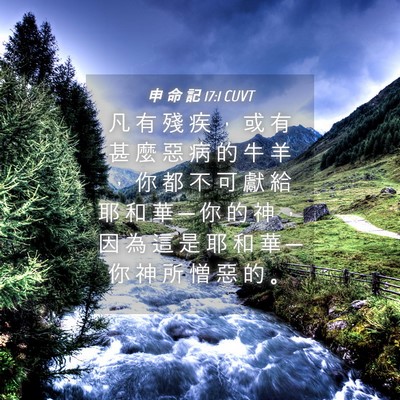 Picture 04 - 申 命 記 17:1 CUVT - 凡 有 殘 疾 ， 或 有 甚 麼 惡 病 的 - Bible Verse Picture