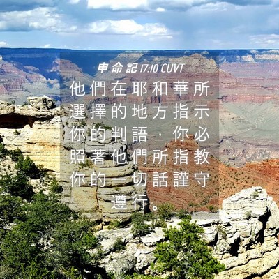 Picture 04 - 申 命 記 17:10 CUVT - 他 們 在 耶 和 華 所 選 擇 的 地 方 - Bible Verse Picture
