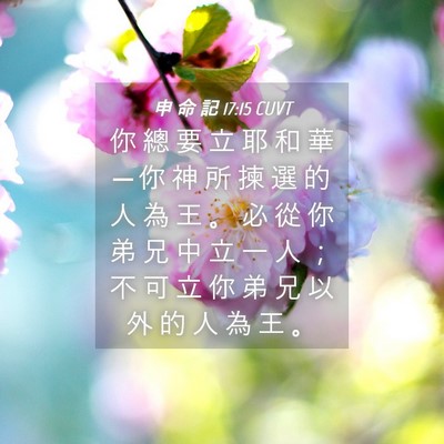 Picture 04 - 申 命 記 17:15 CUVT - 你 總 要 立 耶 和 華 ─ 你 神 所 揀 - Bible Verse Picture