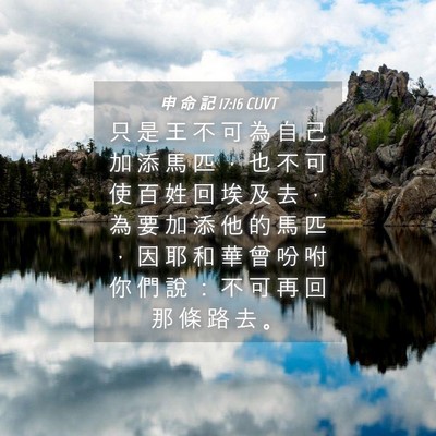 Picture 04 - 申 命 記 17:16 CUVT - 只 是 王 不 可 為 自 己 加 添 馬 匹 - Bible Verse Picture