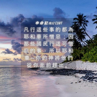 Picture 04 - 申 命 記 18:12 CUVT - 凡 行 這 些 事 的 都 為 耶 和 華 所 - Bible Verse Picture
