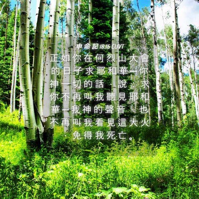 Picture 04 - 申 命 記 18:16 CUVT - 正 如 你 在 何 烈 山 大 會 的 日 子 - Bible Verse Picture