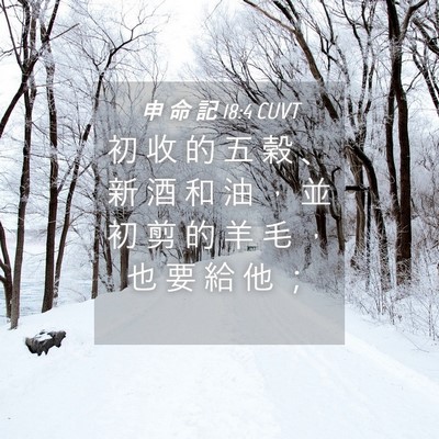 Picture 04 - 申 命 記 18:4 CUVT - 初 收 的 五 穀 、 新 酒 和 油 ， 並 - Bible Verse Picture