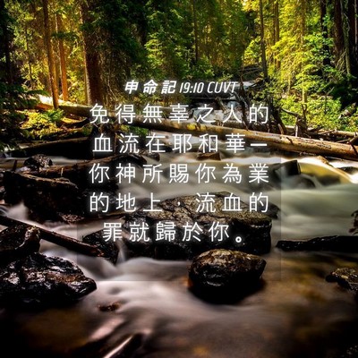 Picture 04 - 申 命 記 19:10 CUVT - 免 得 無 辜 之 人 的 血 流 在 耶 和 - Bible Verse Picture