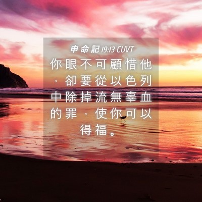 Picture 04 - 申 命 記 19:13 CUVT - 你 眼 不 可 顧 惜 他 ， 卻 要 從 以 - Bible Verse Picture