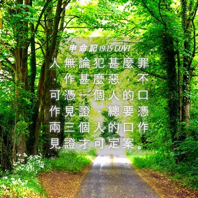 Picture 04 - 申 命 記 19:15 CUVT - 人 無 論 犯 甚 麼 罪 ， 作 甚 麼 惡 - Bible Verse Picture
