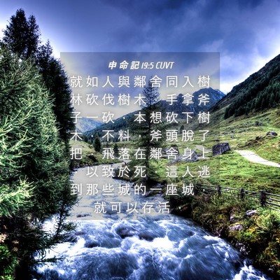 Picture 04 - 申 命 記 19:5 CUVT - 就 如 人 與 鄰 舍 同 入 樹 林 砍 伐 - Bible Verse Picture