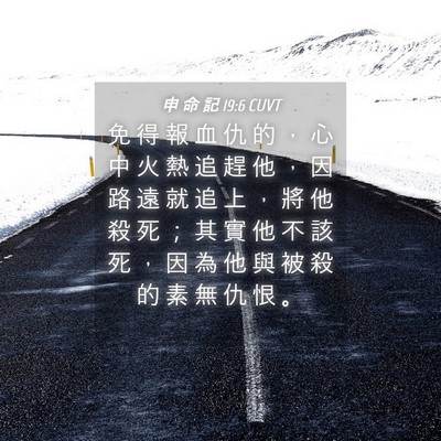 Picture 04 - 申 命 記 19:6 CUVT - 免 得 報 血 仇 的 ， 心 中 火 熱 追 - Bible Verse Picture