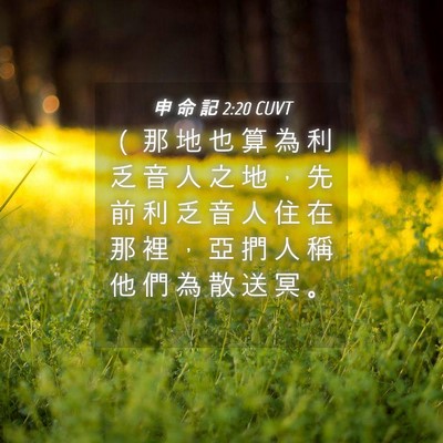 Picture 04 - 申 命 記 2:20 CUVT - （ 那 地 也 算 為 利 乏 音 人 之 地 - Bible Verse Picture