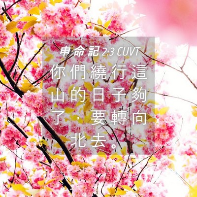 Picture 04 - 申 命 記 2:3 CUVT - 你 們 繞 行 這 山 的 日 子 夠 了 ， - Bible Verse Picture
