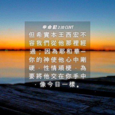 Picture 04 - 申 命 記 2:30 CUVT - 但 希 實 本 王 西 宏 不 容 我 們 從 - Bible Verse Picture