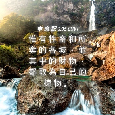 Picture 04 - 申 命 記 2:35 CUVT - 惟 有 牲 畜 和 所 奪 的 各 城 ， 並 - Bible Verse Picture