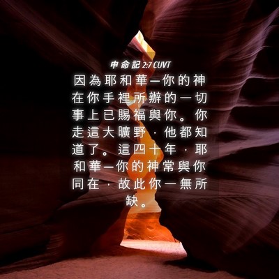 Picture 04 - 申 命 記 2:7 CUVT - 因 為 耶 和 華 ─ 你 的 神 在 你 手 - Bible Verse Picture