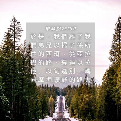 Picture 04 - 申 命 記 2:8 CUVT - 於 是 ， 我 們 離 了 我 們 弟 兄 以 - Bible Verse Picture