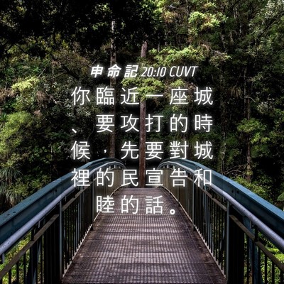 Picture 04 - 申 命 記 20:10 CUVT - 你 臨 近 一 座 城 、 要 攻 打 的 時 - Bible Verse Picture