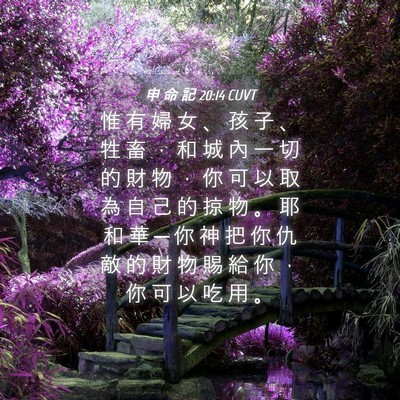 Picture 04 - 申 命 記 20:14 CUVT - 惟 有 婦 女 、 孩 子 、 牲 畜 ， 和 - Bible Verse Picture