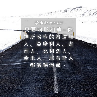 Picture 04 - 申 命 記 20:17 CUVT - 只 要 照 耶 和 華 ─ 你 神 所 吩 咐 - Bible Verse Picture
